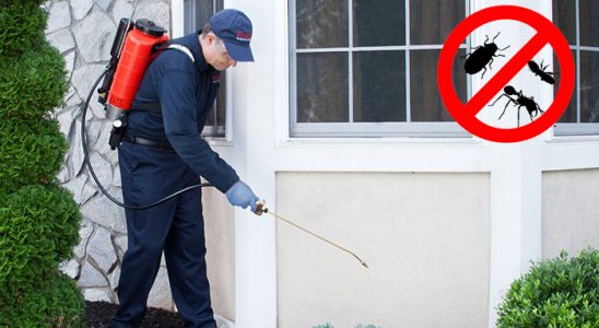 Korkuteli Fare İlaçlama böcek ilaçlama ve haşere kontrolü — ilaclama-tr.com